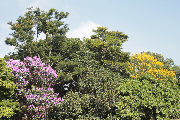 As cores do Parque Estadual Fontes do Ipiranga. Foto: Thaina Gell