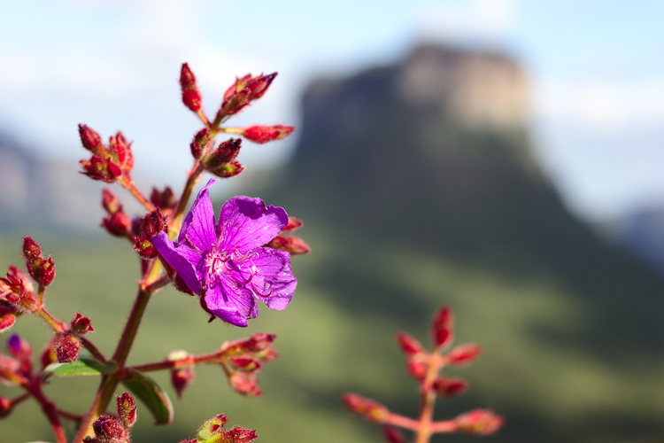 As outras cores possíveis do carnaval na Bahia, na Chapada Diamantina. Foto: Guilherme Imbassahy