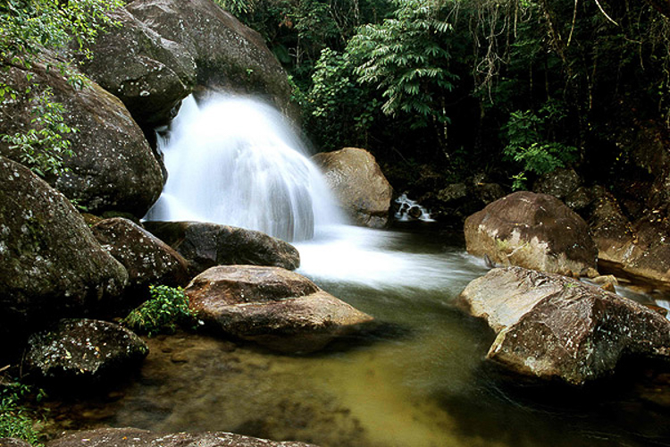 As belezas do Parque Estadual da Serra do Mar. Foto: Fabíola Ortiz