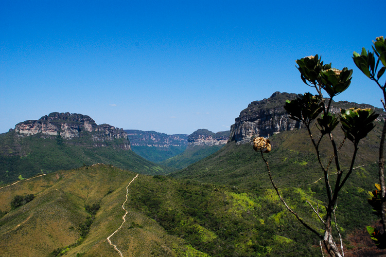 Vista parcial do Vale do Pati, no Parque Nacional da Chapada Diamantina. Foto: MAF Papi