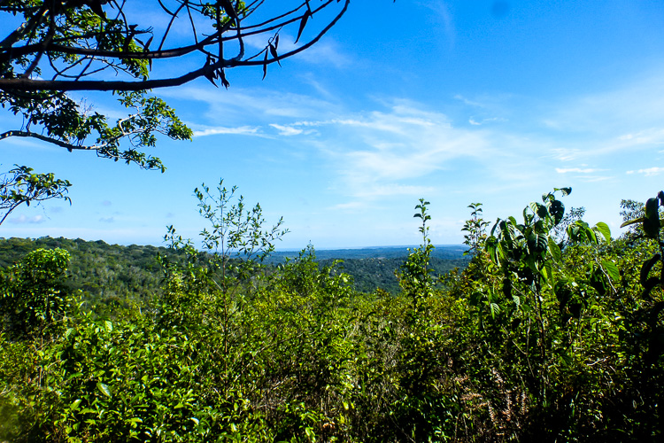 Registro do Parque Estadual da Serra do Conduru. Foto Pedro da Cunha e Menezes