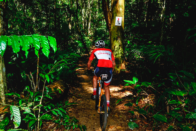 Circuito de mountain bike no Parque Nacional da Tijuca. Peterson de Almeida /WikiParques