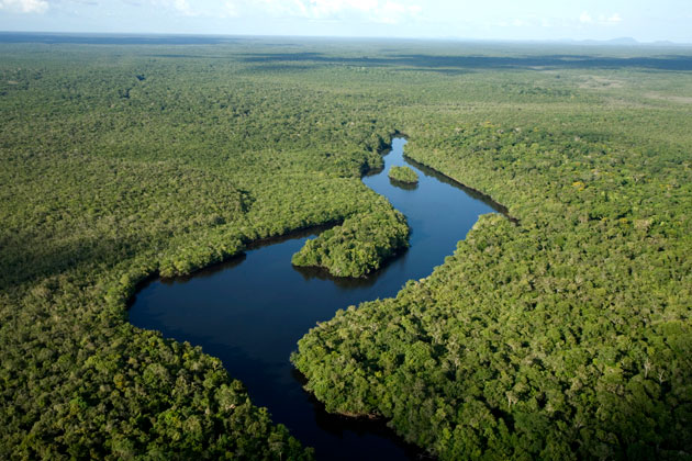 Parque Nacional do Viruá (RR). Foto: ICMBio