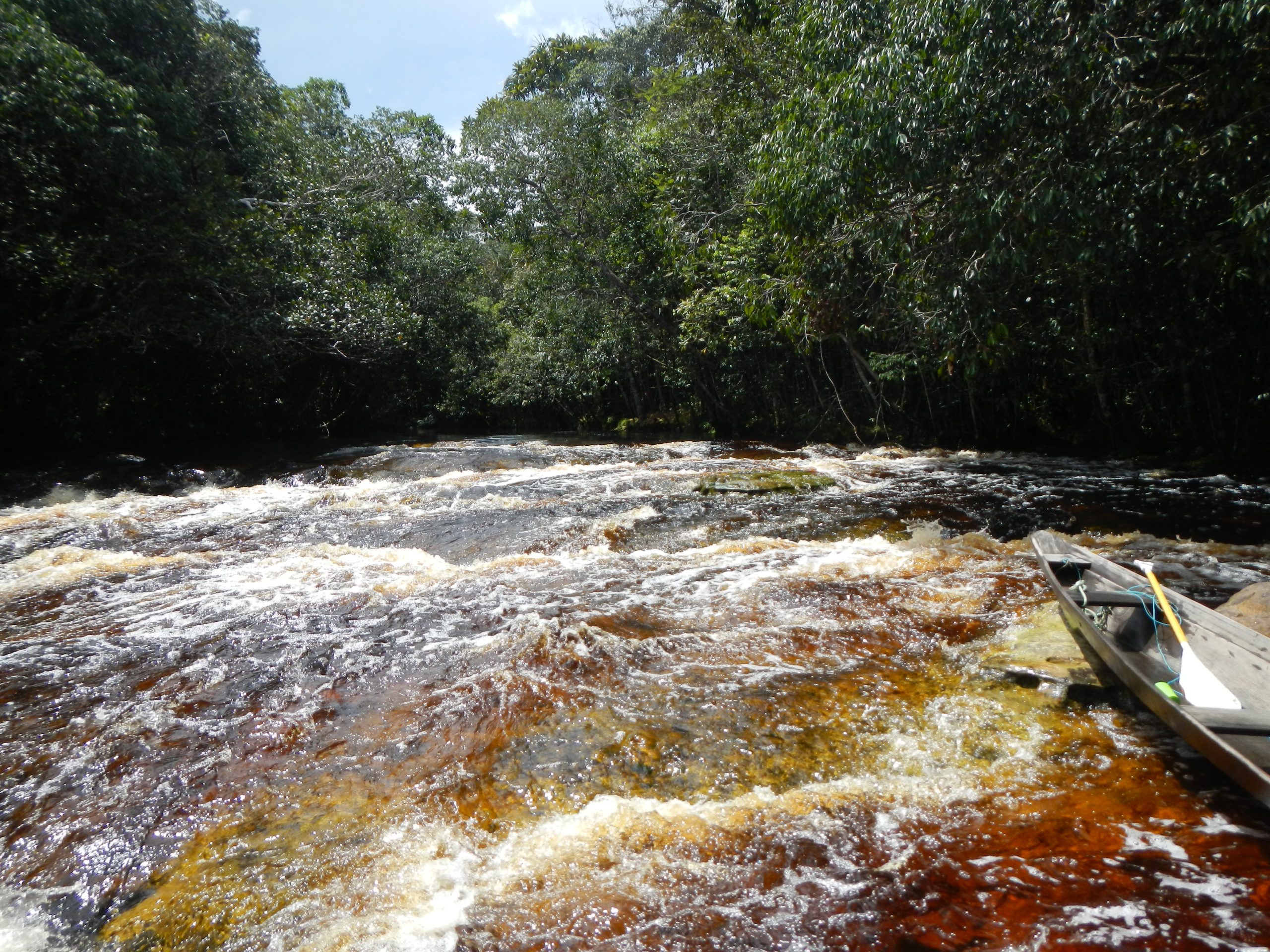 A Trilha do Bariaú acompanha o rio de mesmo nome, considerado um dos mais bonitos do Parque por suas belas corredeiras, que ficam cobertas durante parte da estação da cheia. Corredeiras do Bariaú. Foto: Priscila Santos