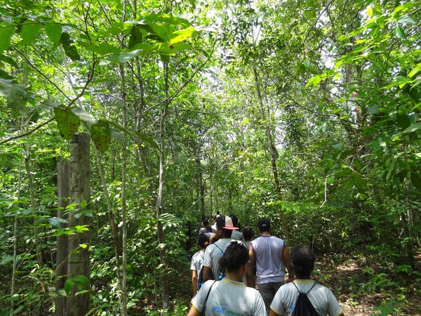 Trilha do Ferrugem, na Zona de Uso Especial do Parque Estadual do Cantão. Foto: Janete Tavares/Governo do Tocantins