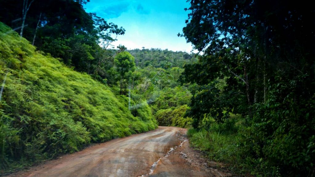 Estrada de terra batida em meio à vegetação no Parque Estadual da Serra do Conduru. Foto: Sema/BA