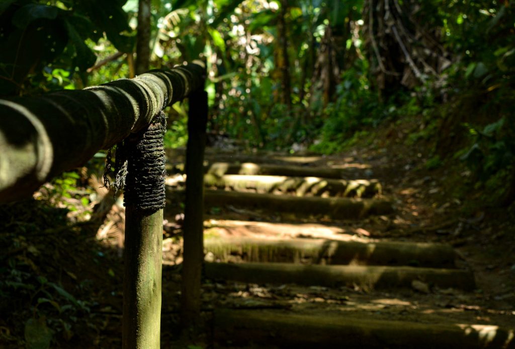 Degraus e corrimão na Estrada Real. Parque Nacional da Serra da Bocaina. Foto: Felipe Alves