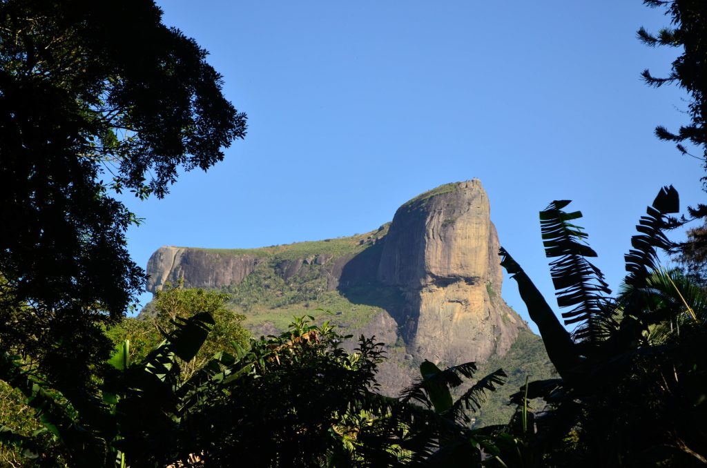 Pedra da Gávea vista entre as árvores. A partir do estacionamento da rampa de voo livre da Pedra Bonita. Parque Nacional da Tijuca. Foto: Peterson de Almeida

